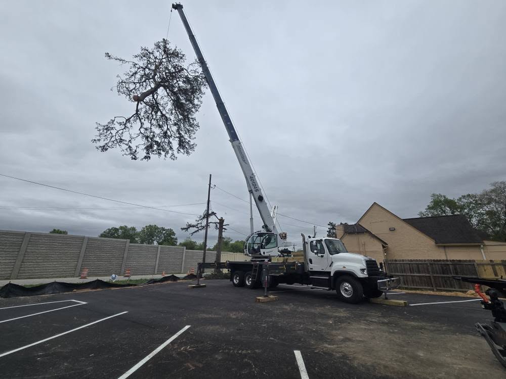 Crane Assisted Tree removal