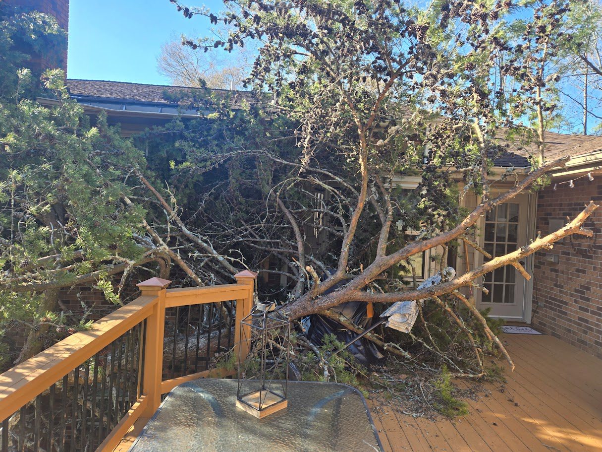 Fallen tree damages roof and deck of a Chattanooga home after a storm.