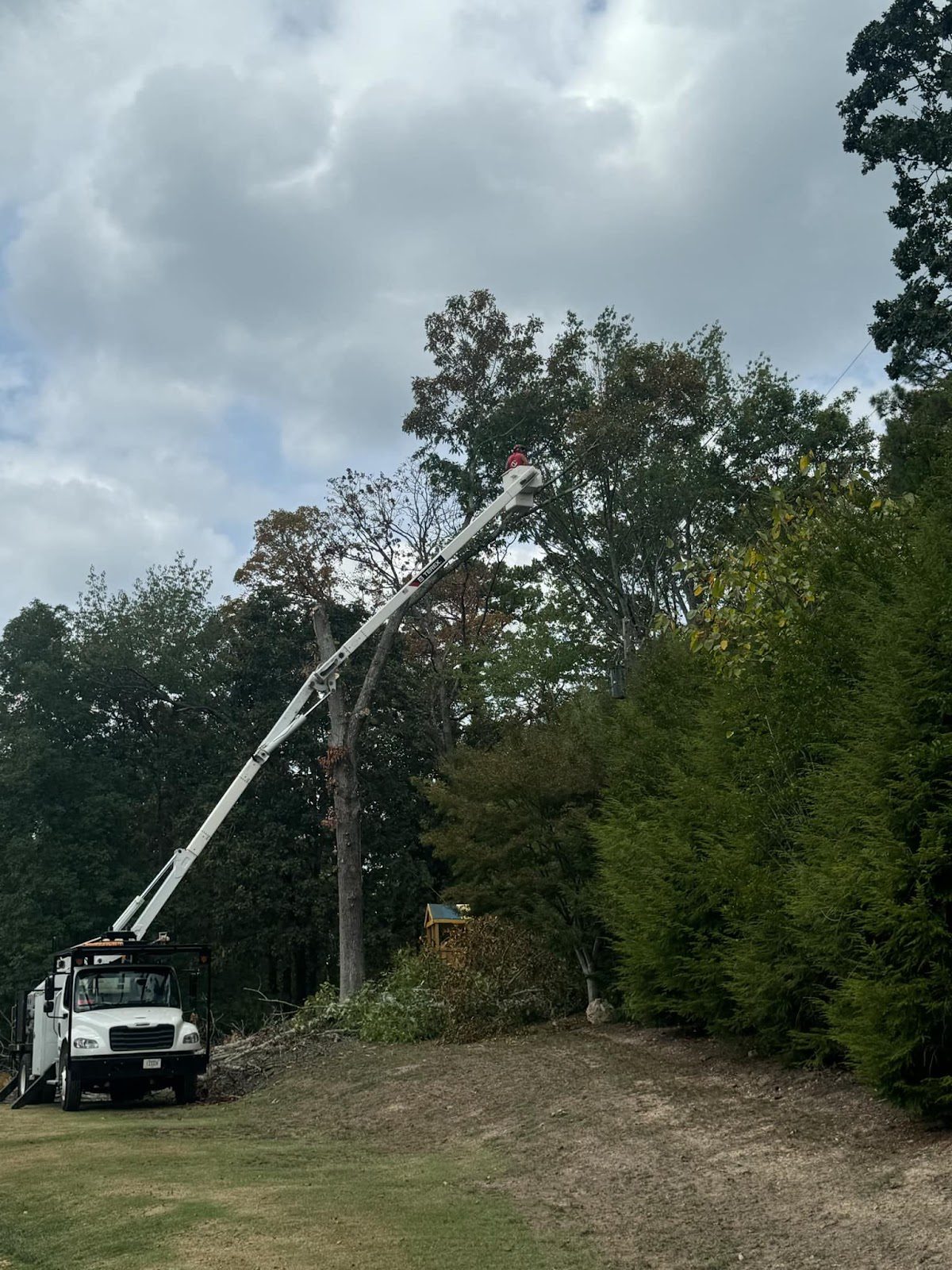 Collegedale, TN 1 tree service in collegedale, tn. Bark busters crew cleaning up a property line, trimming trees and clearing brush.