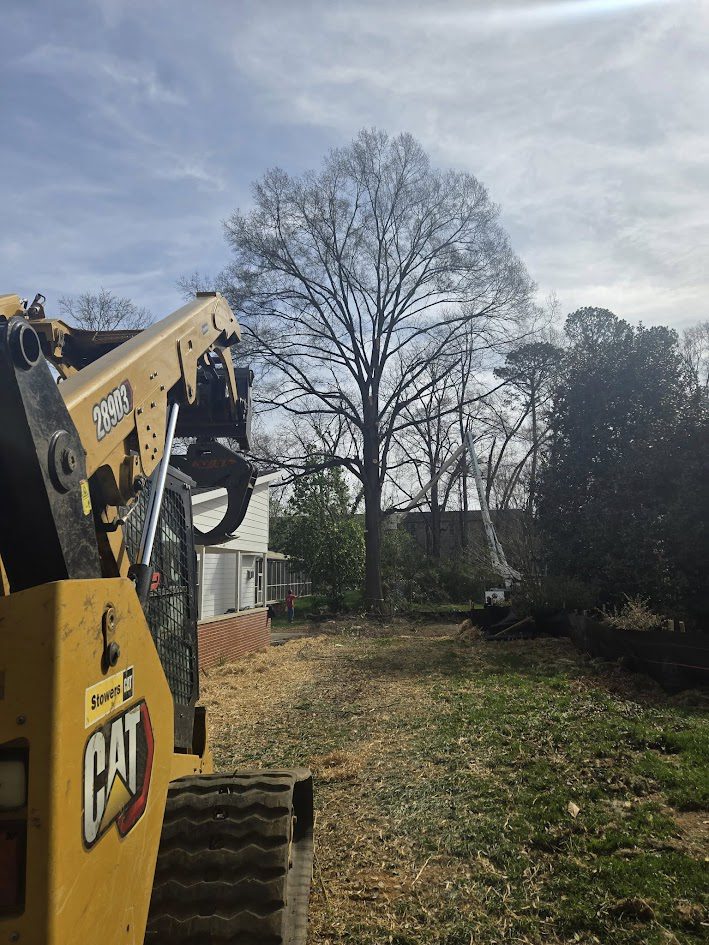 Tree Services 1 professional tree service in Chattanooga, TN