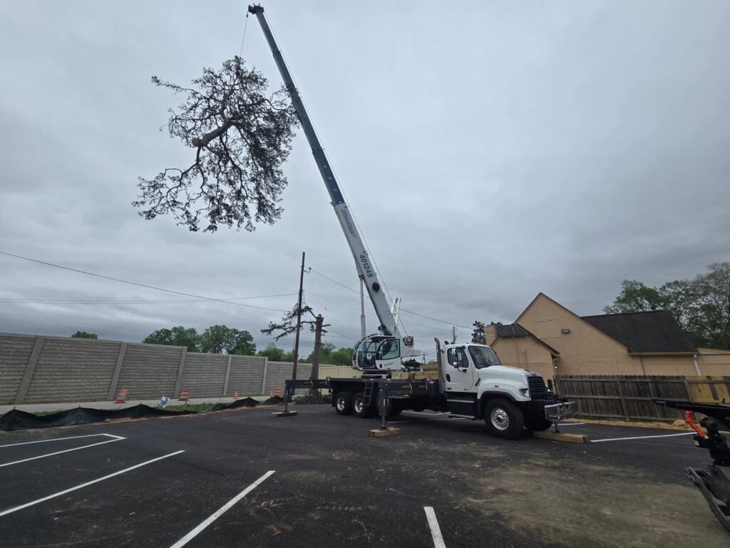 Crane Services 4 Bark busters crane