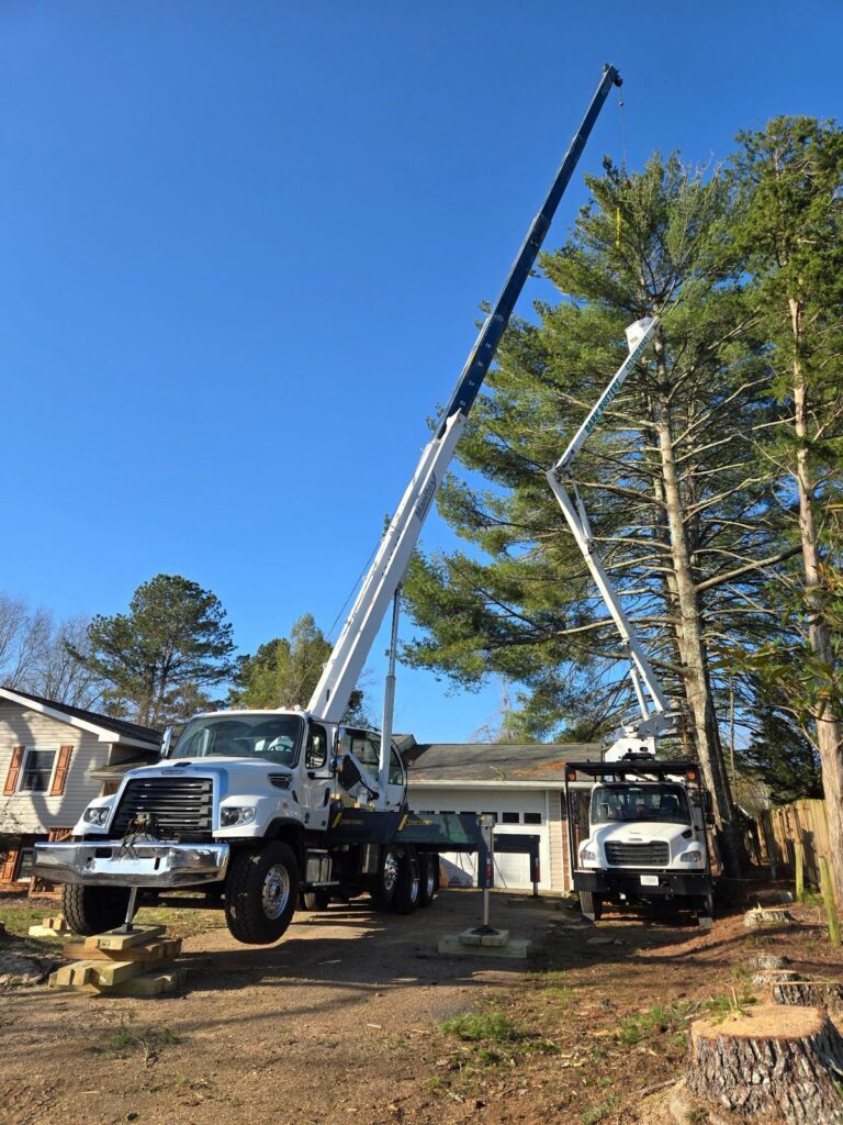 Crane Services 2 crane assisted tree removal in Apison,tn
