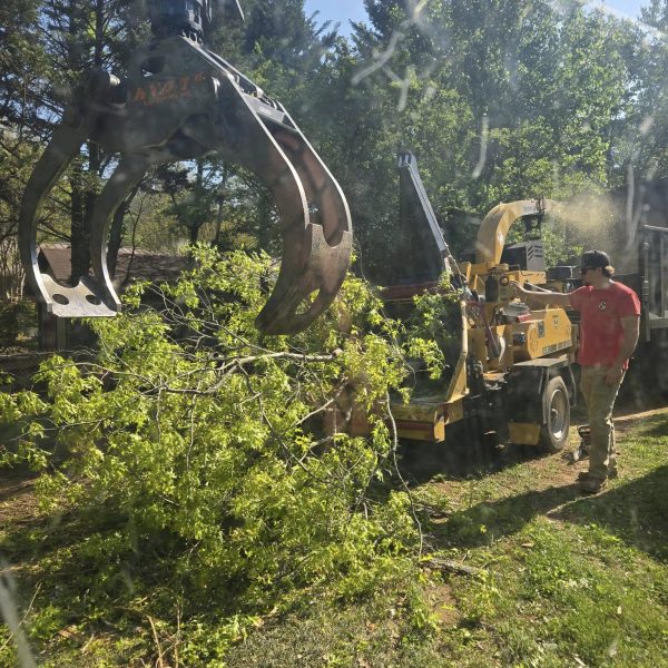 tree removal a man standing next to a crane